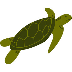 Turtle Illustration-07
