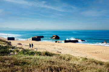 Landscape with marram grass and and surfeurs on the Atlantic ocean beaches