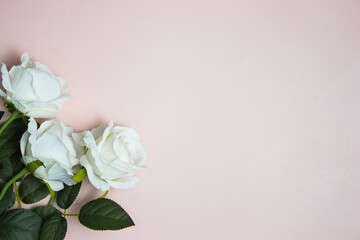A bouquet of white roses over the pink background with copy space.