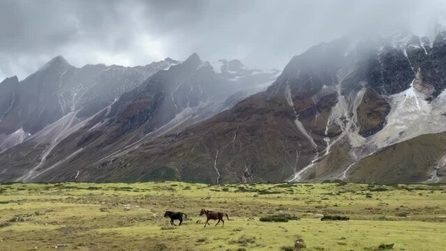 Two horses running in the Punggyen Valley along the Manaslu Circuit, Nepalese Himalayas. This video shows the entire valley covered in cloud.