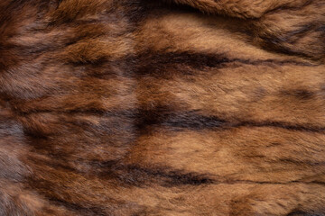 Brown fur coat texture, abstract animal skin pattern