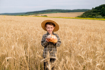 A little boy in a hat is holding bread while standing in a wheat field. Agriculture, farming