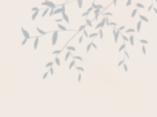 木の葉の影が壁に映るシンプルな装飾背景