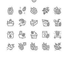 Fototapeta premium Raspberry fruit. Cooking, recipes and price. Raspberry jam. Food shop, supermarket. Menu for cafe. Pixel Perfect Vector Thin Line Icons. Simple Minimal Pictogram