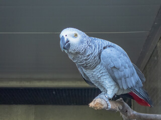 Timaru_01_March_2023