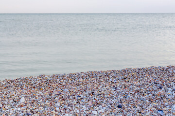 Summer concept with a beach, seashells. Seashells and on a wild sea beach in the rays of the setting sun close-up, focus in the foreground