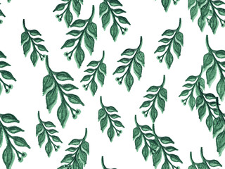 Leave Background. White Retro Seamless Palm Tree. Green Leaf Wallpaper Jungle. Leave Wind. Sage Tropical Watercolor. Vintage Hawaii Pattern. Brazil Textures.