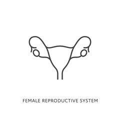 Outline style health care ui icon collection. Vector linear illustration. Internal female reproduction system anatomy symbol isolated on white background. Design for healthcare, gynecology infographic