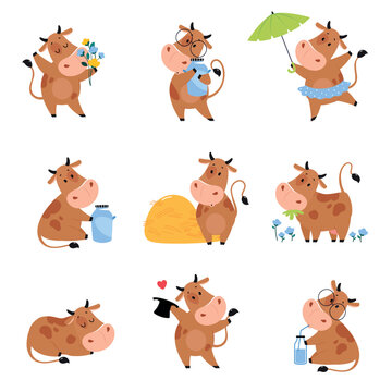 Cute happy brown cow in various activities set. Lovely farm animal character smelling bouquet of flowers, walking with umbrella and grazing in meadow cartoon vector illustration