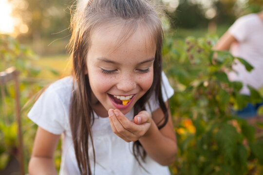 A Young Girl Spits Out A Tomato While Gardening In Fort Langley