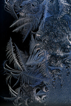Frost