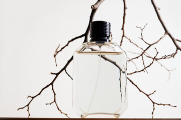 Elegant male perfume bottle with tree branches on white background, template
