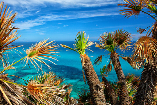 Cala Mesquida on the island of Mallorca.