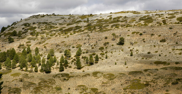 Panoramic photography over the Tagus river. Alto Tajo Natural Park. Guadalajara. Spain