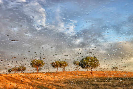 rainning in Natural Reserve of Lagunas de Villaf&Atilde;&iexcl;fila, Zamora, Spain