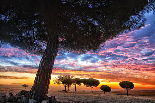 Sunset in Natural Reserve of Lagunas de Villaf&Atilde;&iexcl;fila, Zamora, Spain