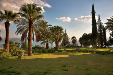Fototapeta premium Monastic park.