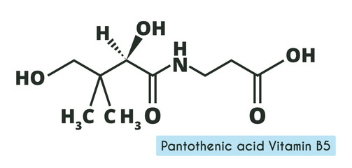 Vitamin B5 or pantothenic acid, pantothenate, molecule. Skeletal formula.