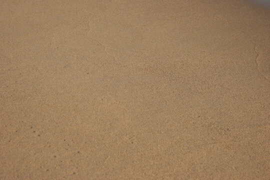 texture papier marron