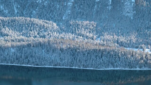 Detail view of trees, forest and lake during winter in St. Moritz, Switzerland.