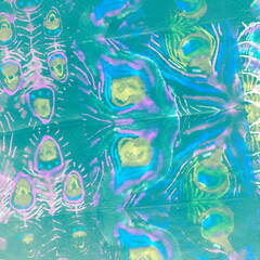 Obraz na płótnie Canvas Psychedelic Peacock Girl. Vivid Bird Feathers