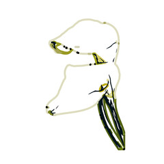 Color sketch of lilies with transparent background