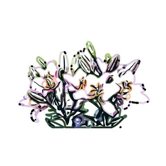 Color sketch of lilies with transparent background