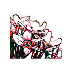 Color sketch of lilies with transparent background