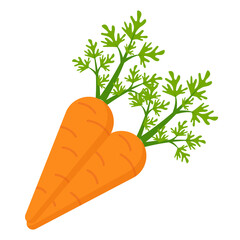 Carrot illustration