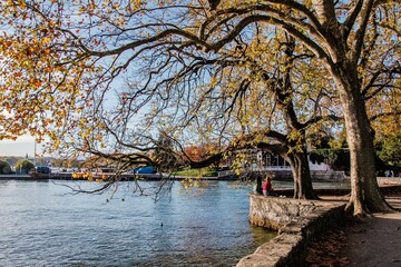 Les bords du lac