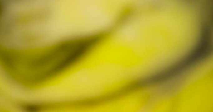 Abstract spotted yellow background, abstract background not focused on yellow objects
