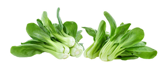 Bok choy vegetable isolated on transparent png