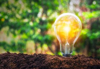 Lightbulb with light turned on placed on ground. Energy and earth safe concept.