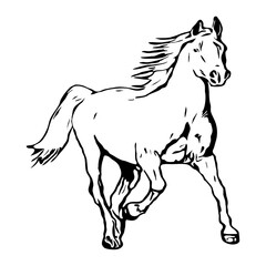 Naklejka na ściany i meble Black silhouette of a horse on a white background. Vector animal illustration.
