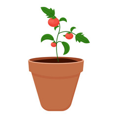 Tomato in a pot for indoor plants. seedlings. gardening. Isolated vector illustration