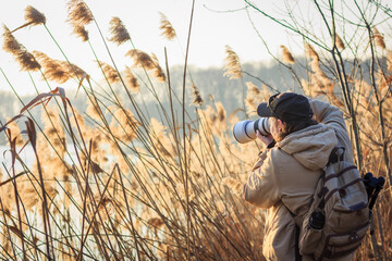 Photographer with camera hiding behind reeds at lake taking pictures of wildlife. Outdoors leisure activity