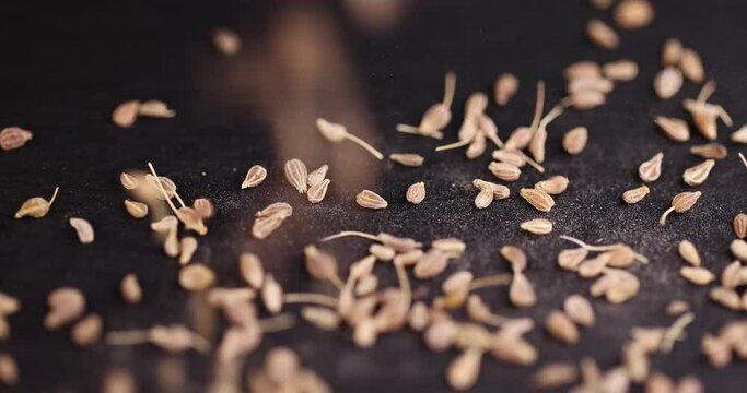 Small, fragrant anise spices on the board, scattered dried anise spices on the table