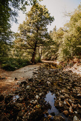Rakov Škocjan, Slowenien