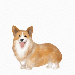isolated welsh corgi cardigan watercolored illustration, watercolored dog illustration