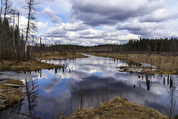 Landscape on the Karelian Isthmus, situated between the Gulf of Finland and Lake Ladoga in northwestern Russia