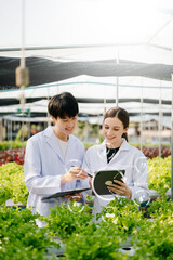 Biologist puts sprout in test tube for laboratory analyze. Two scientists stand in organic farm. check, laboratory in greenhouse.