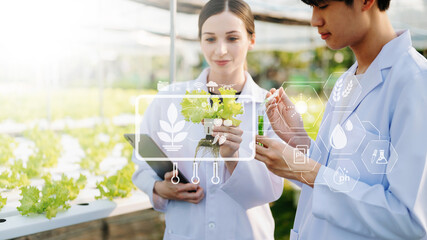 Researcher team in white uniform are checking with ph strips in hydroponic farm and pH level scale graphic, science laboratory greenhouse concept.