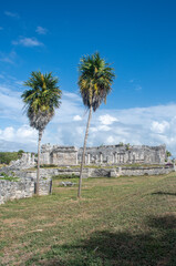 Mayan Temple at Tulum Mexico with palm trees in foreground - 577328673