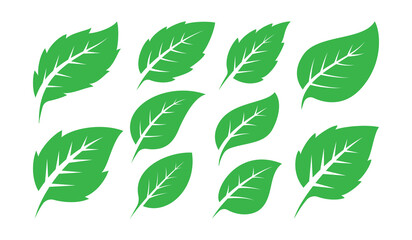 Green Leaves design vector illustration