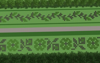 3D illustration of modern landscape architecture. Modular topiary garden with clipped borders in the form of crosses. Background computer rendering of landscape design.