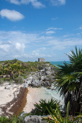 Coast at Tulum Mexico  with sea weed Mayan Building - 577329097