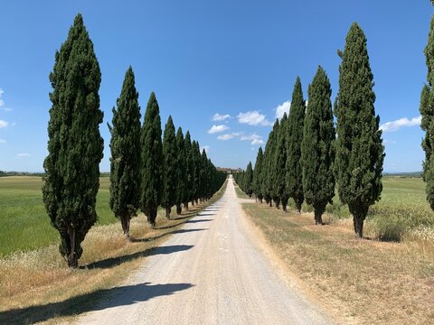 Landschaft der Toskana im Sommer