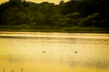 Beautiful sunrise with a sun rising over a lake