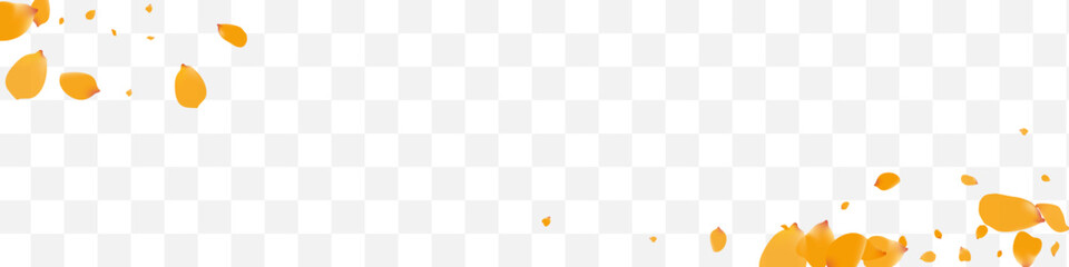 Delicate Petal Flying Vector Transparent