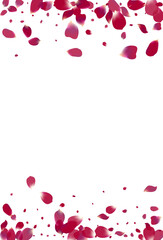 Purple Flower Summer Vector White Background.